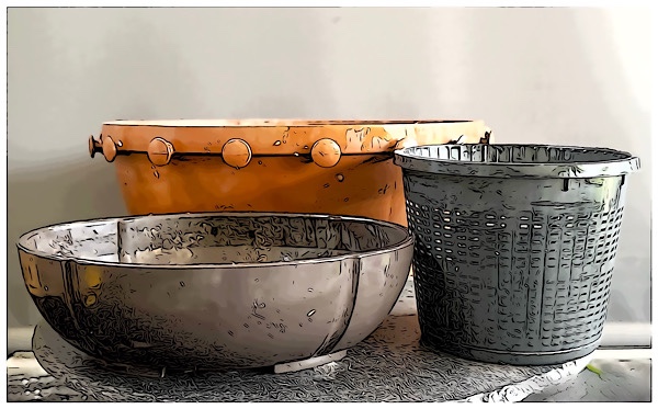 Bevor es in eine wirkliche Bonsaischale geht - Bonsai-Treff