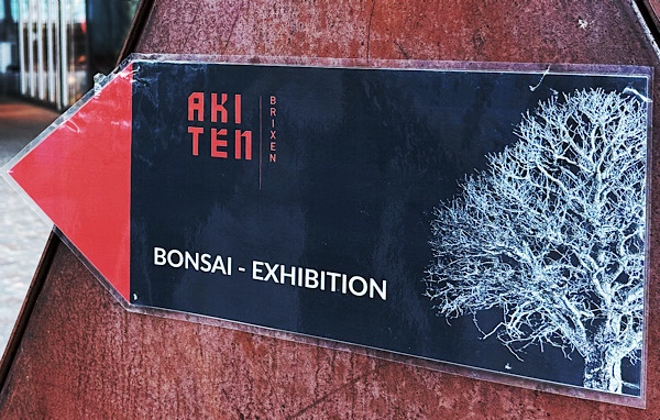Besuch bei der AKI TEN - Brixen 2025 - Bonsai-Treff