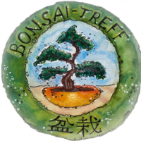 Bonsai-Treff